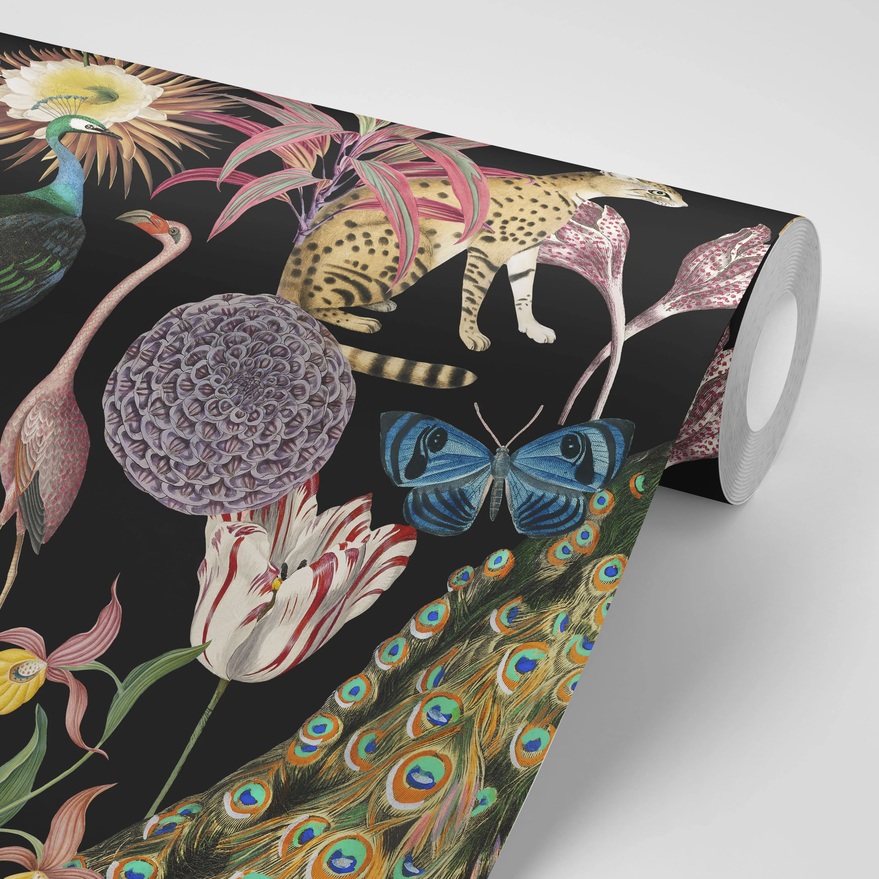 Les Plumes Black Wallpaper - Image 3