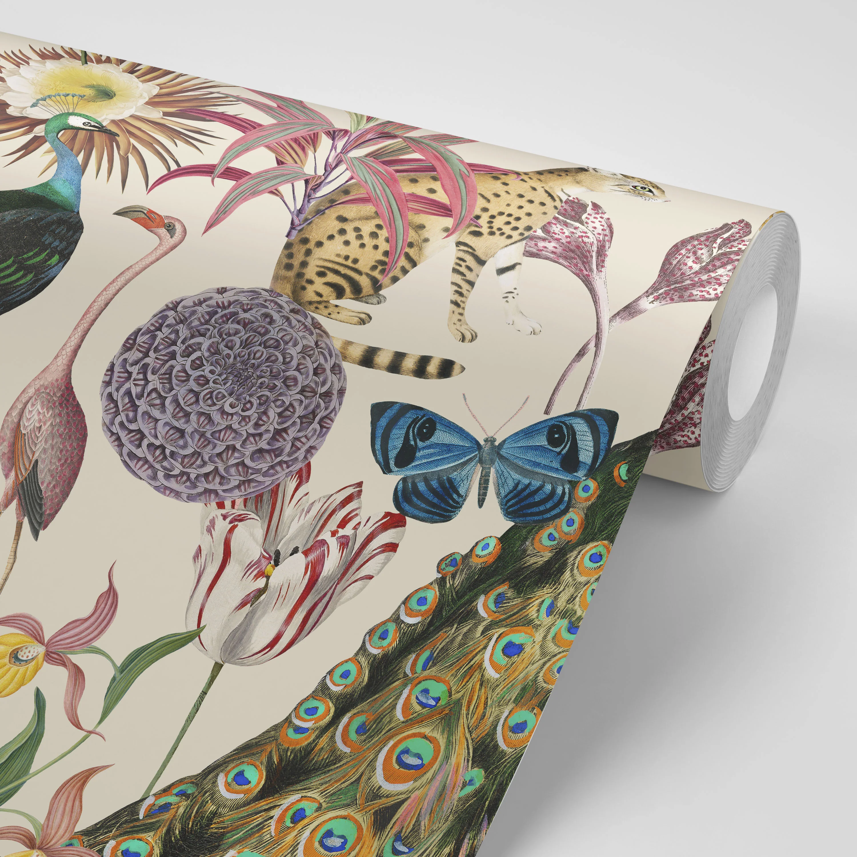 Les Plumes Ivory Wallpaper - Image 3