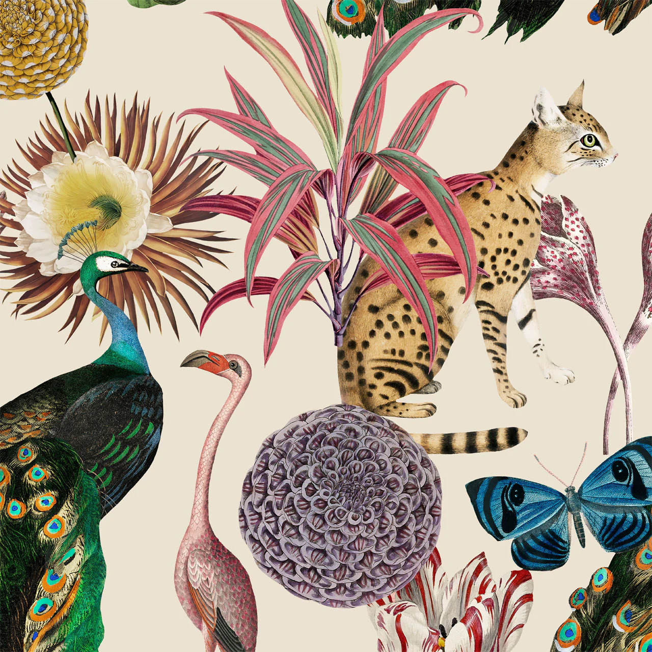 Les Plumes Ivory Wallpaper Sample